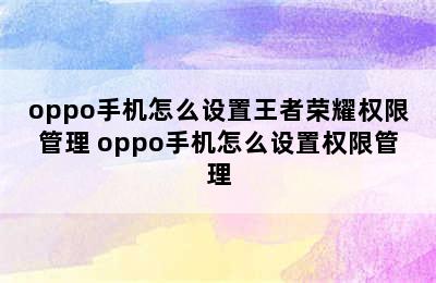 oppo手机怎么设置王者荣耀权限管理 oppo手机怎么设置权限管理